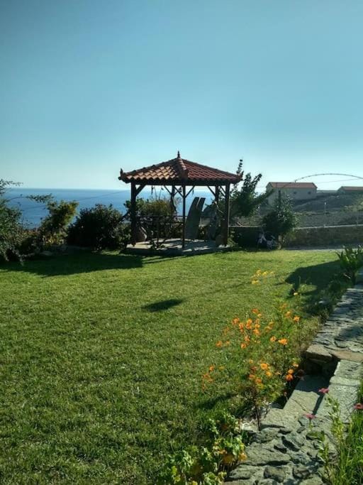 Spring, Day, Natural landscape, Garden, Garden view, Sea view