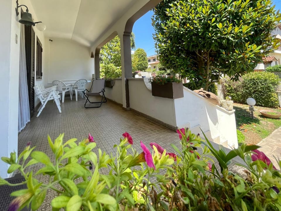 Patio, Garden, Garden view