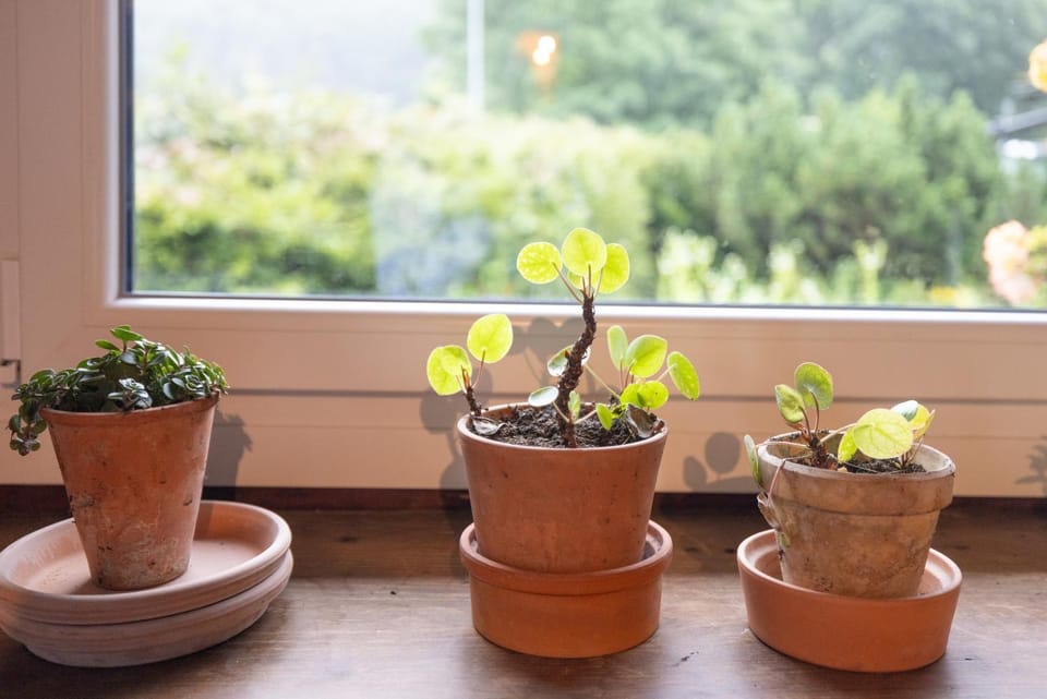 Magnifique Chalet aux Carroz Chalet in Arâches-la-Frasse