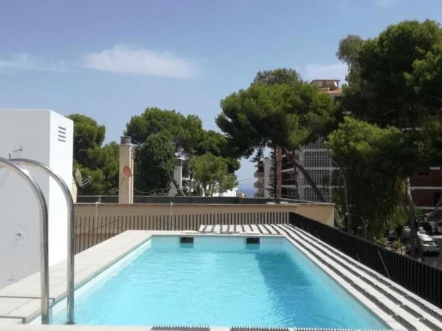 Swimming pool