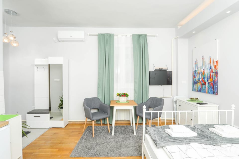 Studio 91 with Great WI-FI and free parking Apartment in Belgrade
