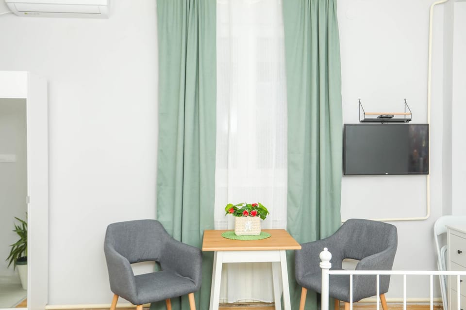 Studio 91 with Great WI-FI and free parking Apartment in Belgrade