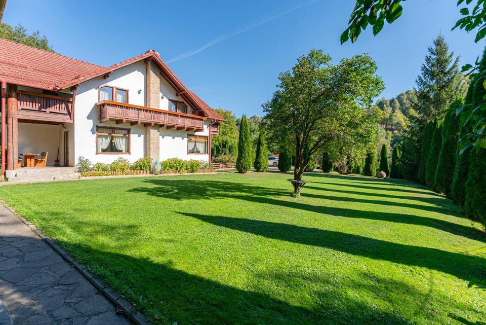 Vila Atena Villa in Bran