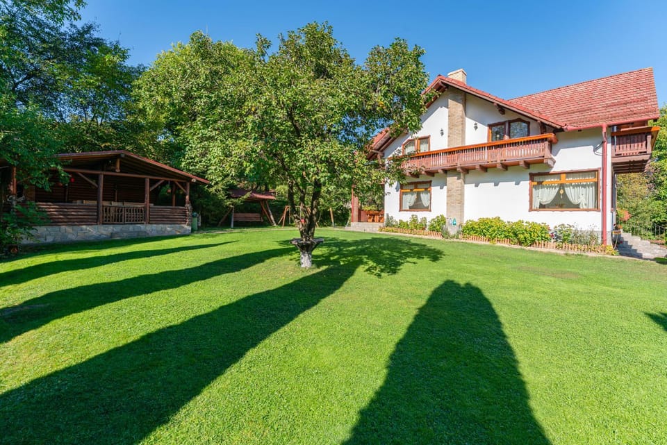 Vila Atena Villa in Bran
