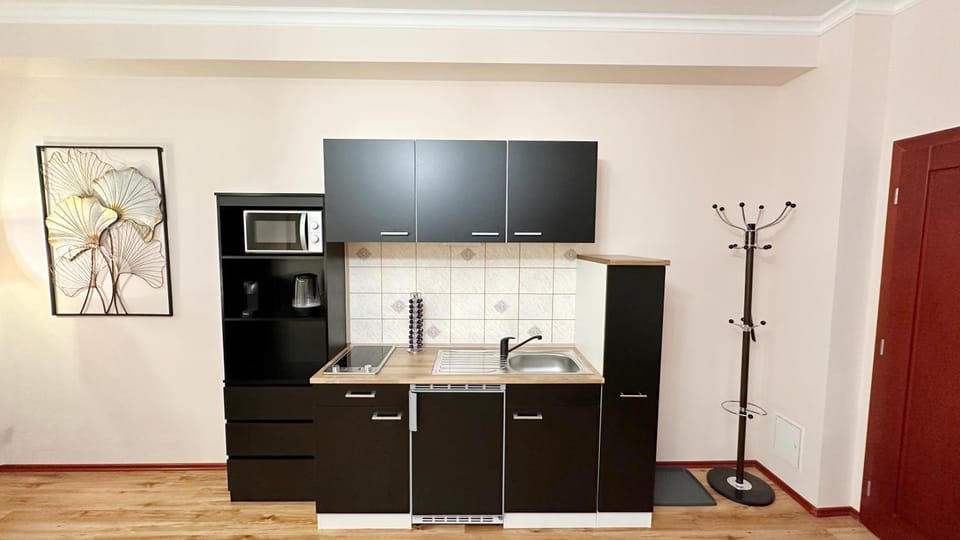 Kitchen or kitchenette, minibar, stove