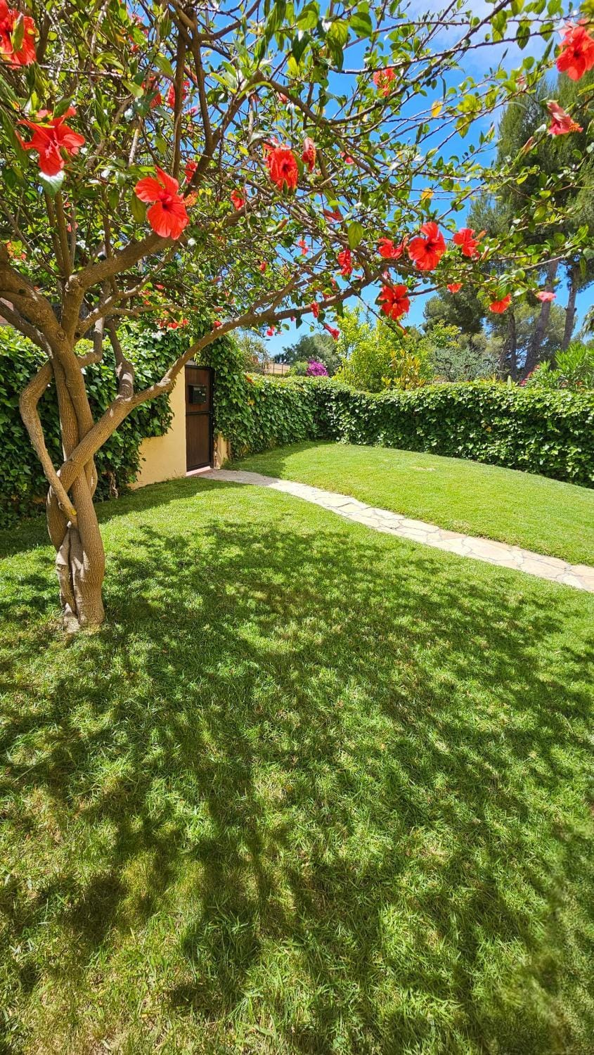 Garden, Garden