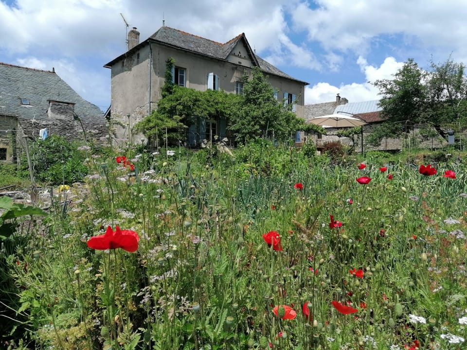 Property building, Garden view