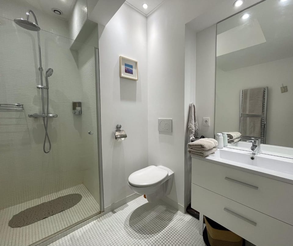 Shower, Toilet, towels