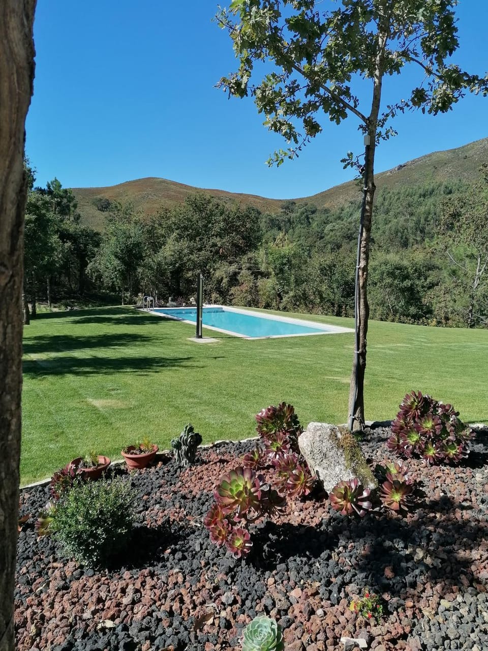 Garden view, Pool view