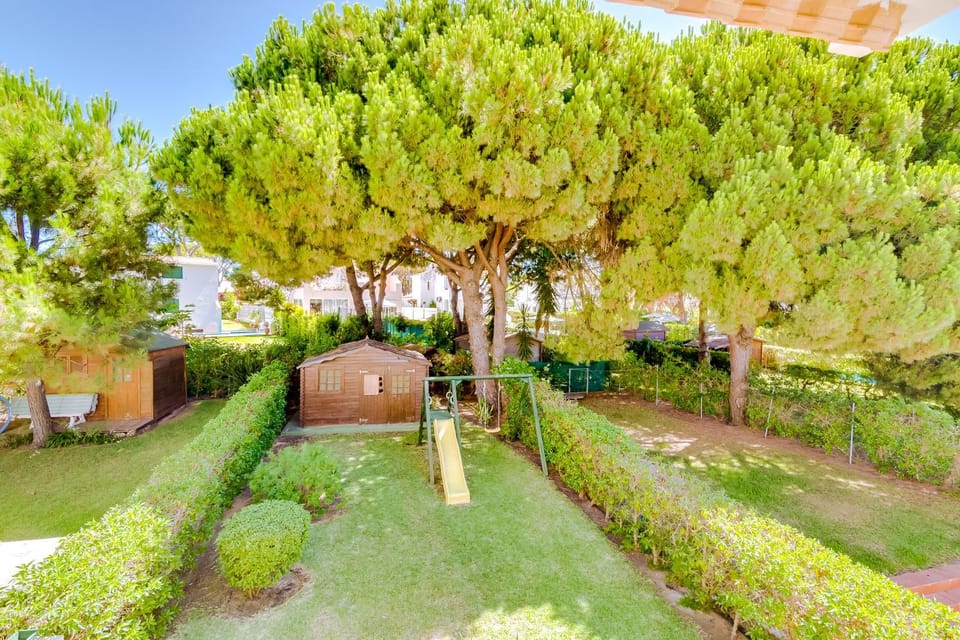 Spring, Day, Natural landscape, Garden, Garden view