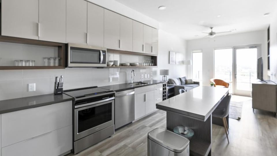 Landing Modern Apartment with Amazing Amenities (ID1381X655) Apartment in The Colony