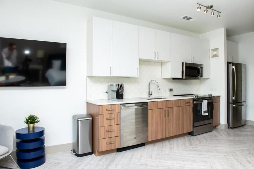Landing Modern Apartment with Amazing Amenities (ID1137) Apartment in Denver