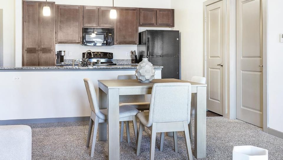 Landing Modern Apartment with Amazing Amenities (ID3128X66) Apartment in Round Rock