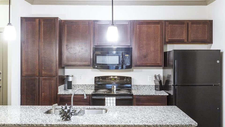 Landing Modern Apartment with Amazing Amenities (ID3128X66) Apartment in Round Rock