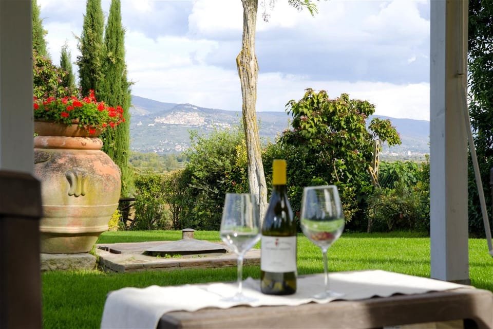 Garden view, Mountain view, Drinks