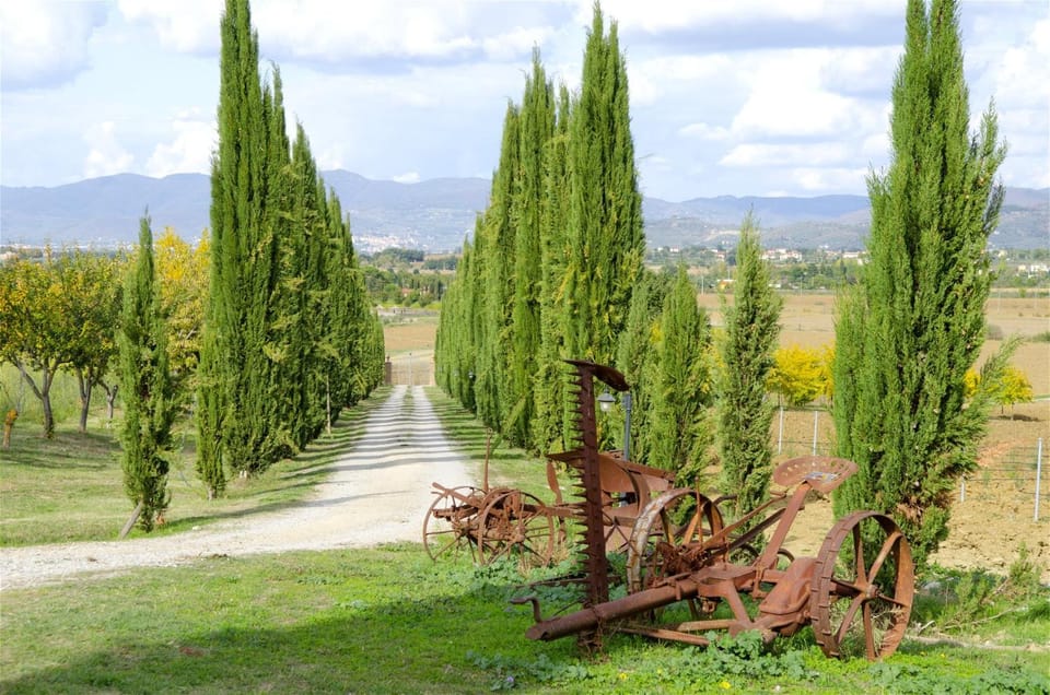 Nearby landmark, Garden view, Mountain view