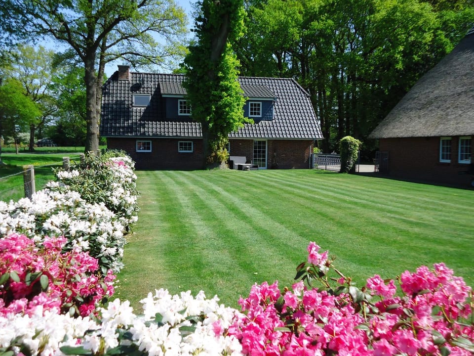 Garden, Balcony/Terrace