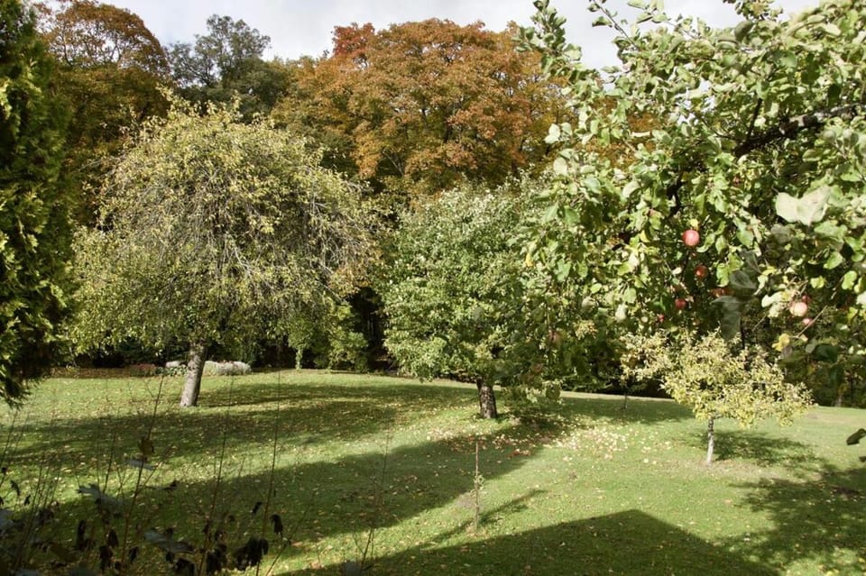 Garden, Garden view