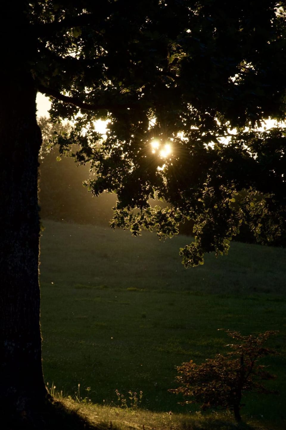 Natural landscape, Sunset