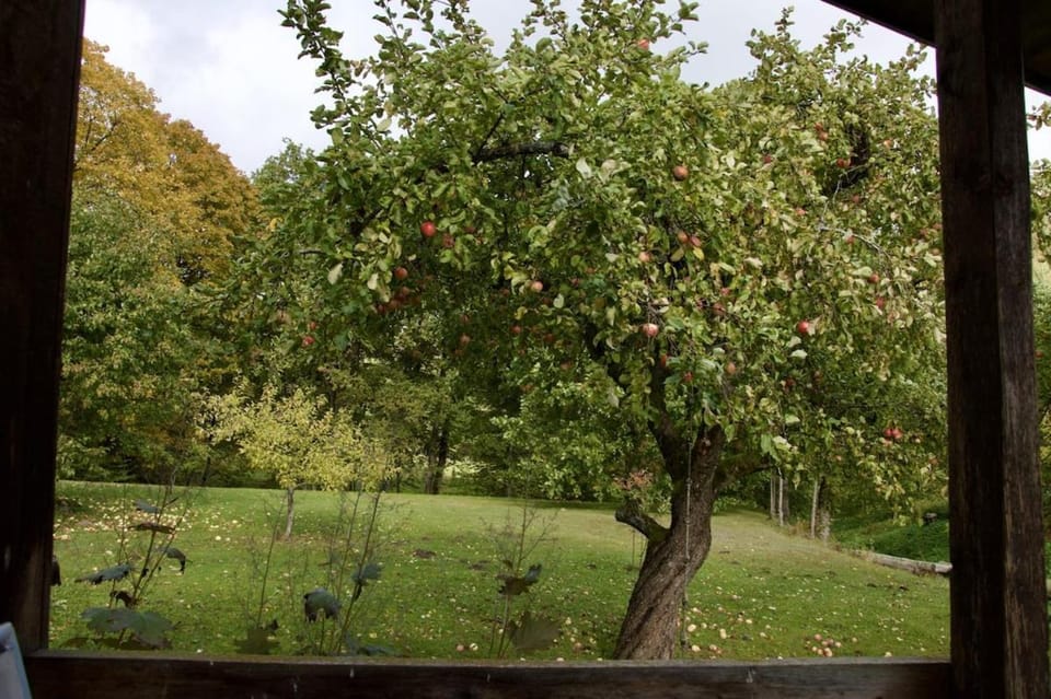 Garden, Garden view
