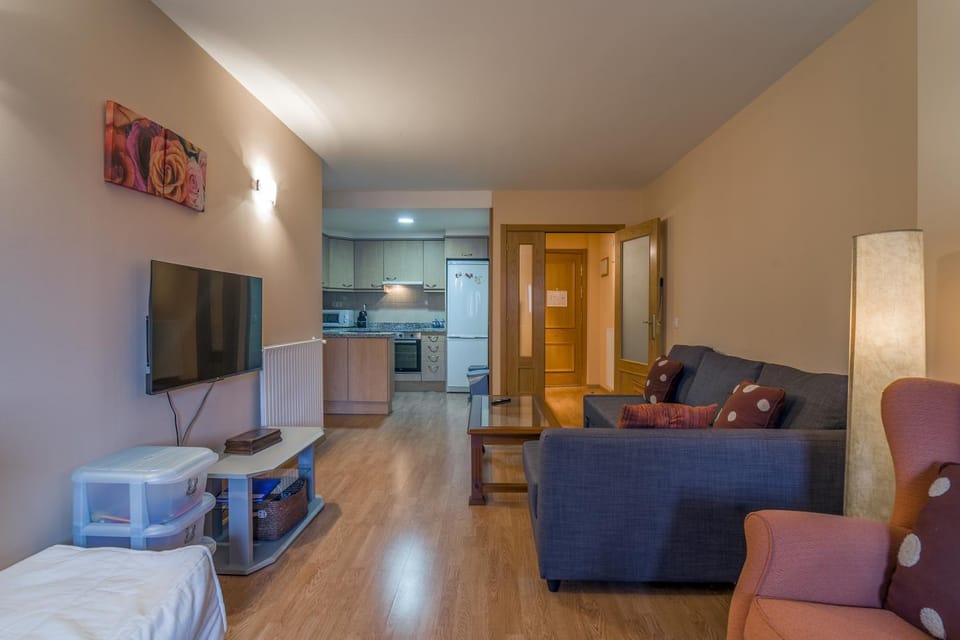 Pleta de Soldeu D 4-3 Apartment in Soldeu
