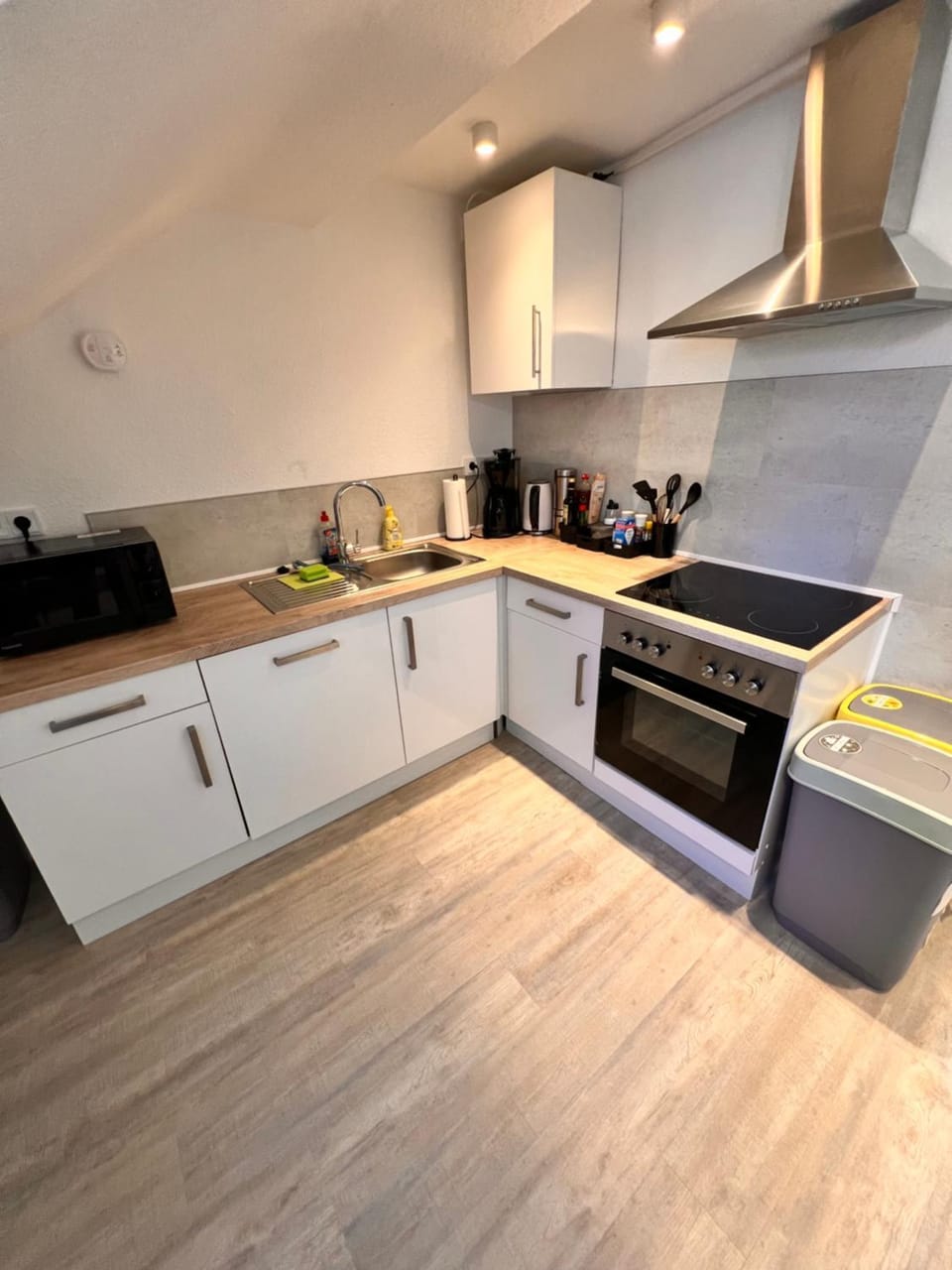 Coffee/tea facilities, Kitchen or kitchenette, dishwasher, minibar, pet friendly, stove, toaster