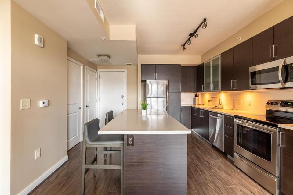 Landing Modern Apartment with Amazing Amenities (ID1148) Apartment in Crystal City
