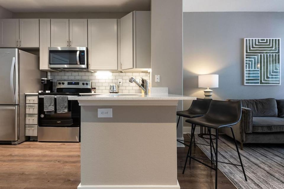 Landing Modern Apartment with Amazing Amenities (ID5843) Apartment in Austin