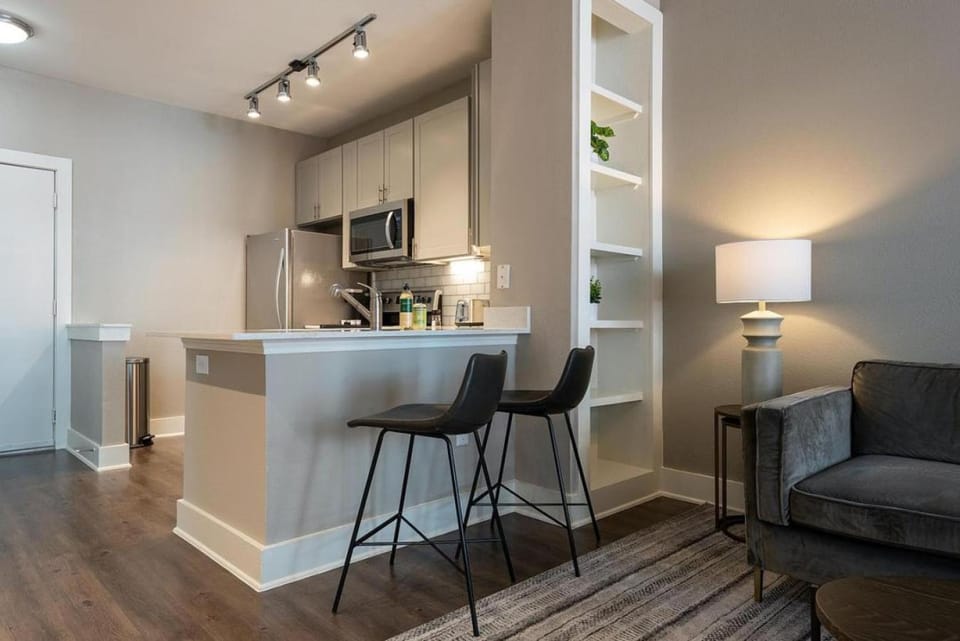 Landing Modern Apartment with Amazing Amenities (ID5843) Apartment in Austin