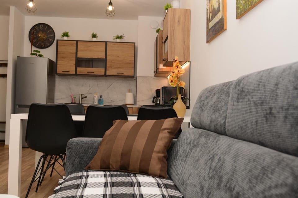 Kotlina Kłodzka - Rodzinny przestrzenny apartament dla 6 osób , 3 pokoje , 63 m , balkon , podziemny garaż FREE, z ładowarką dla elektryków Apartment in Lower Silesian Voivodeship