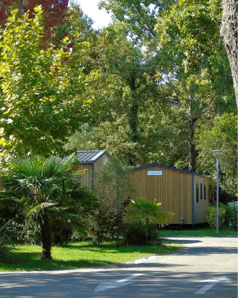 Property building, Garden view