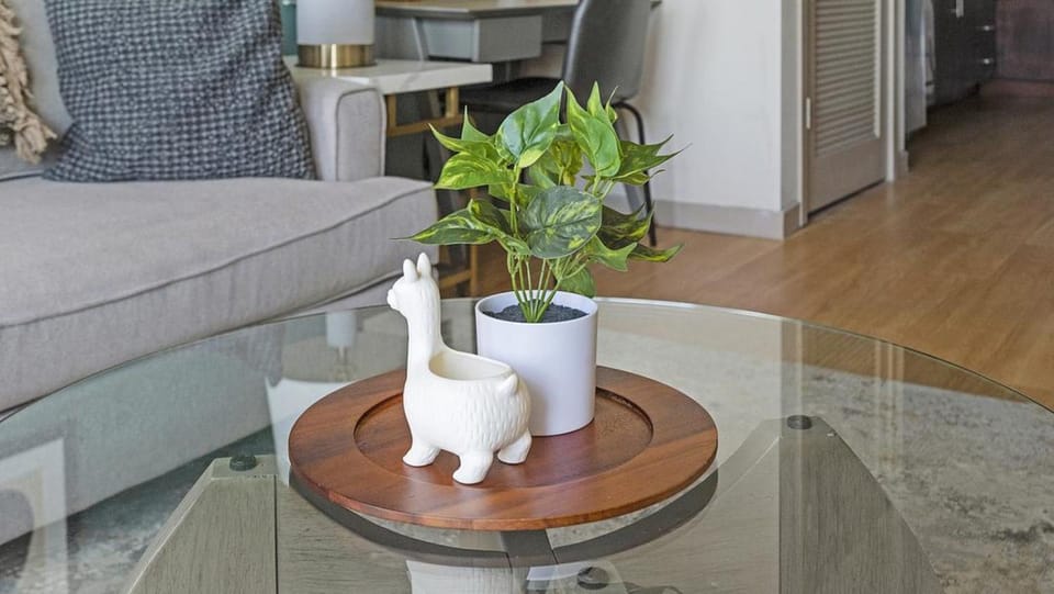 Landing Modern Apartment with Amazing Amenities (ID4310X3) Apartment in Winter Park