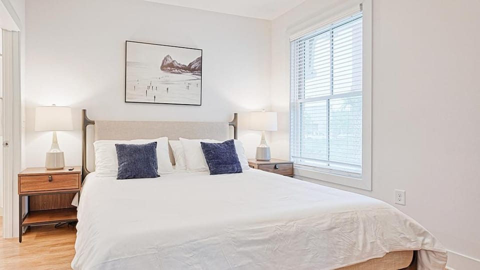 Landing Modern Apartment with Amazing Amenities (ID5196X85) Apartment in Charleston