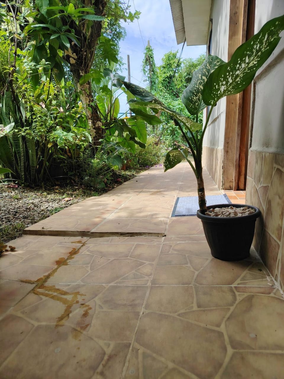 Casa Cristy Apartment in Puerto Viejo Talamanca