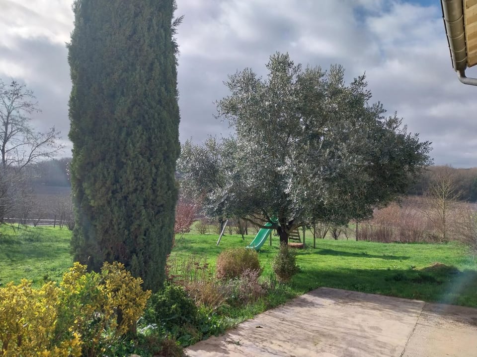 Garden, Garden view