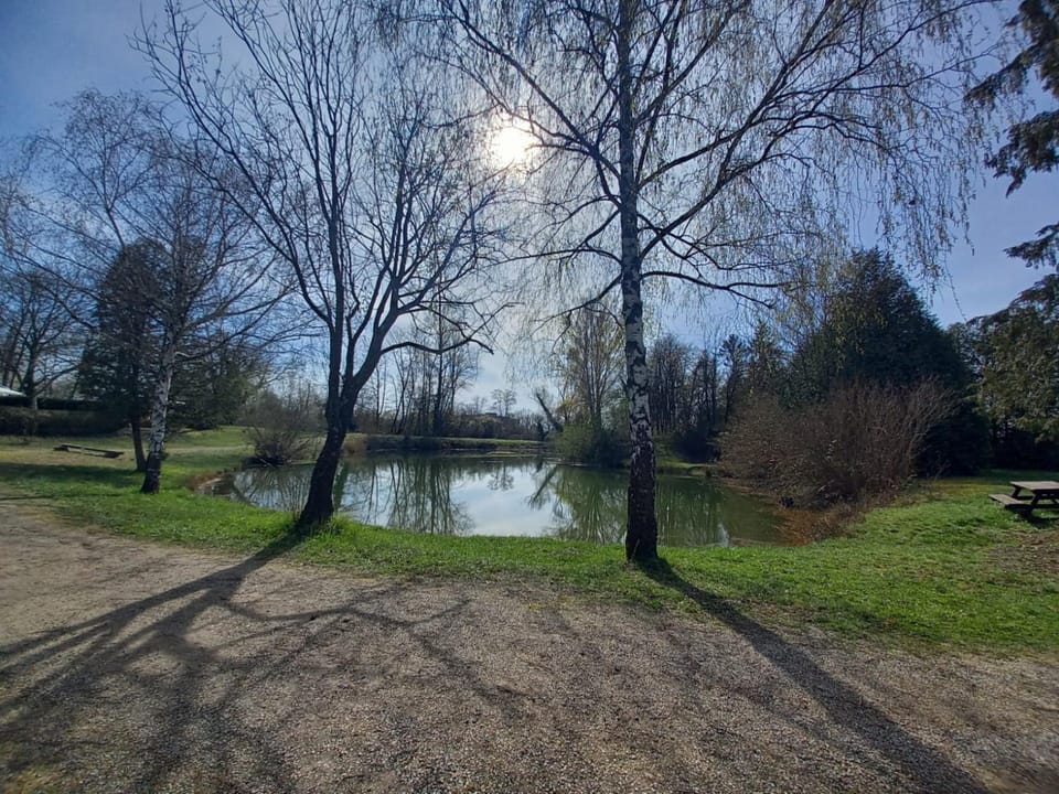 Spring, Day, Natural landscape, Fishing, Aqua park, Lake view, River view