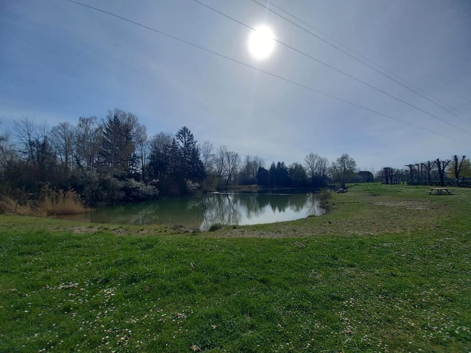 Spring, Day, Natural landscape, Lake view, River view, Open Air Bath
