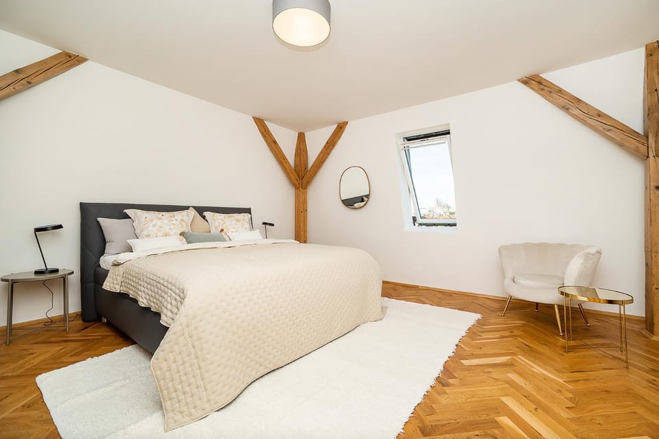 Luxurious 3 bedroom apartment in the Old Town Apartment in Prague