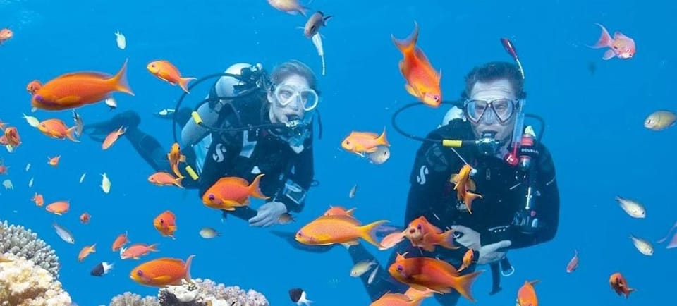 Diving
