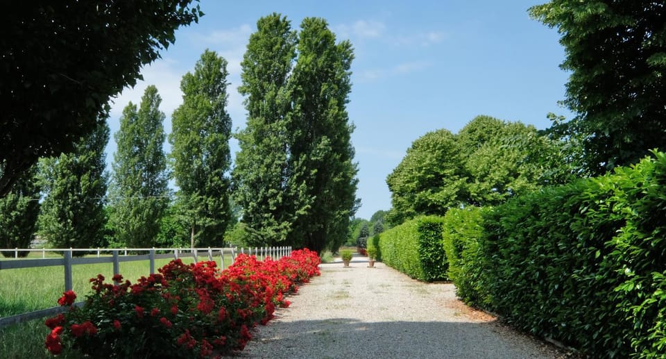 Natural landscape