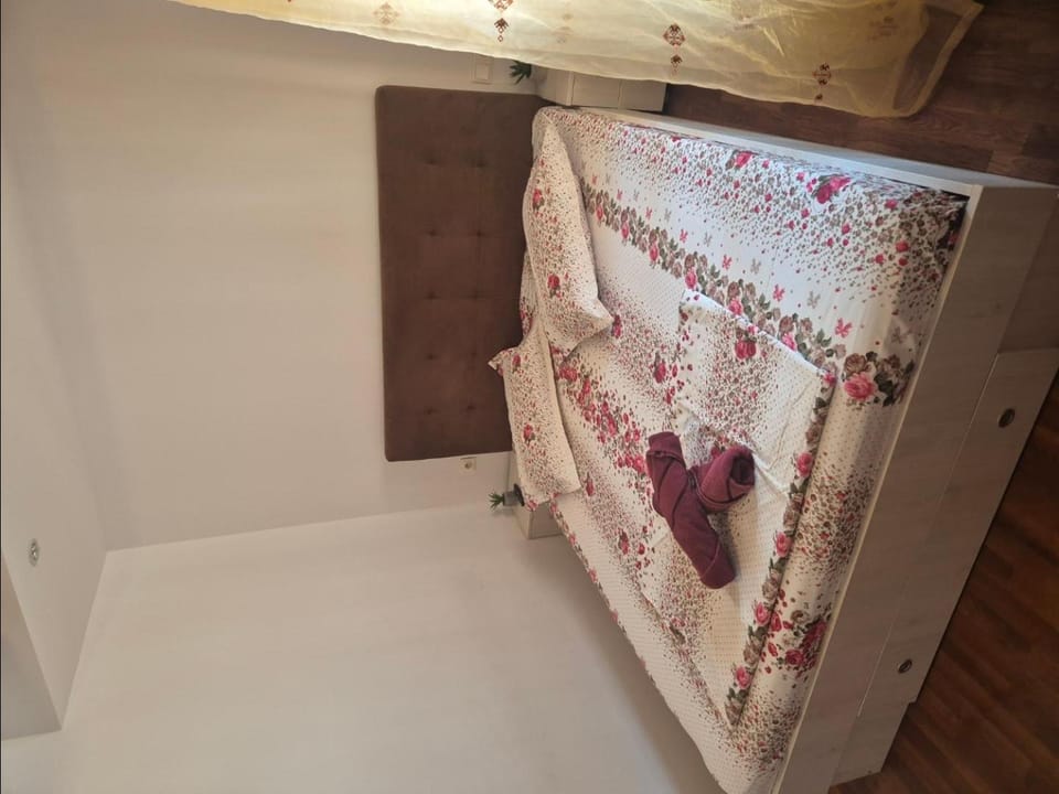 IaZi Apartaments Apartment in Brasov