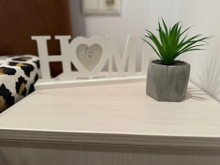IaZi Apartaments Apartment in Brasov