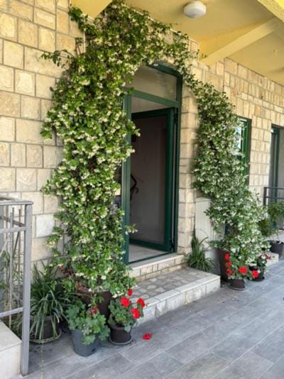 Apartmani Jaz 24 Apartment in Budva Municipality