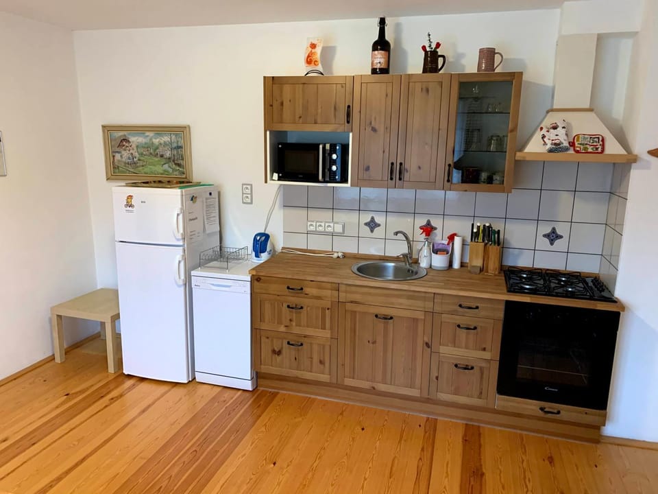 Kitchen or kitchenette, dishwasher, minibar, pet friendly, stove