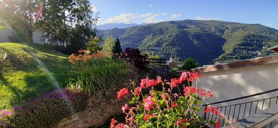 Mountain view