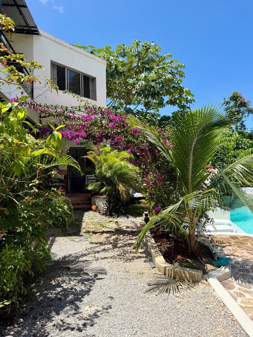 Garden view