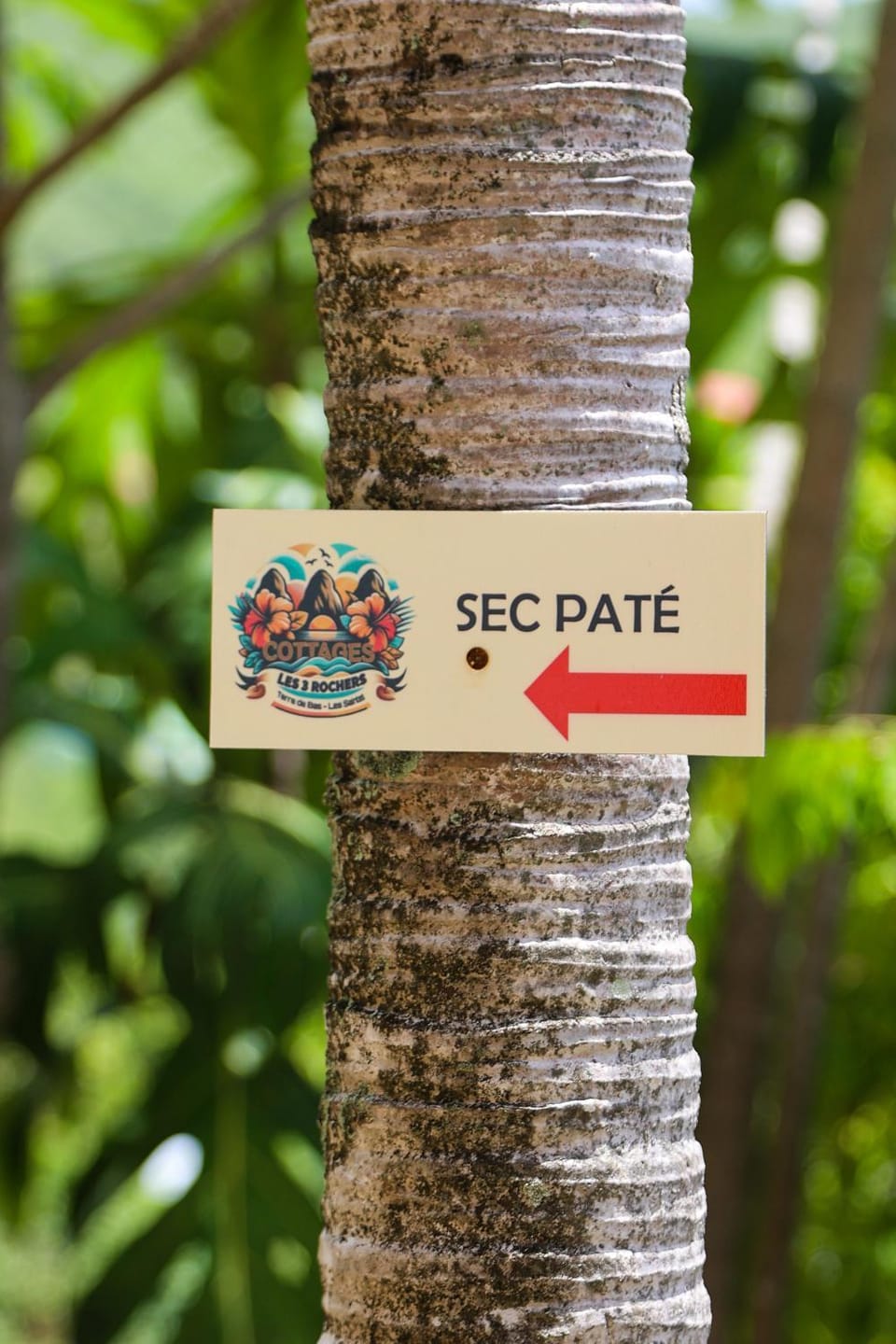 Cottage Les 3 Rochers - SEC PATE Coté jardin Apartment in Leeward Islands