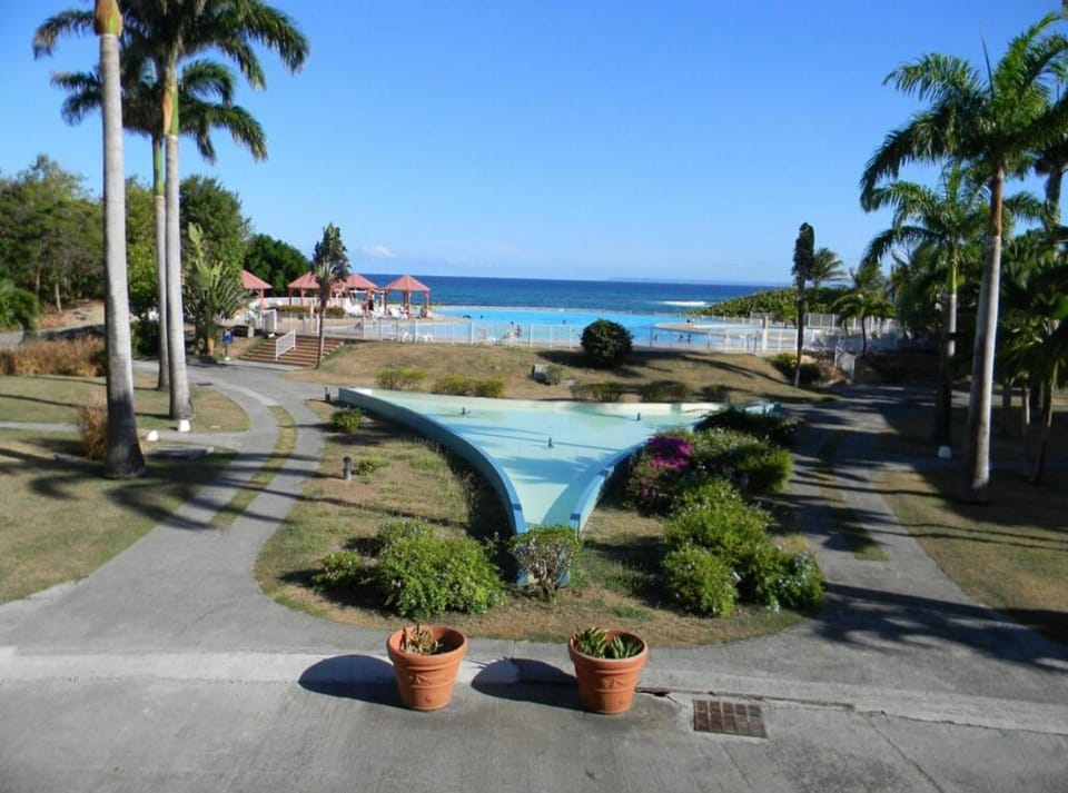 Property building, Garden, Garden view, Pool view