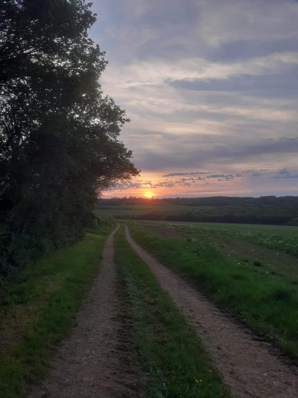 Day, Natural landscape, Hiking, Cycling, Sunset, Quiet street view