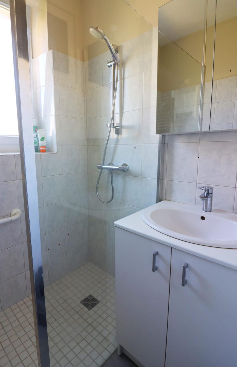 Shower, Facility for disabled guests, hair dryier
